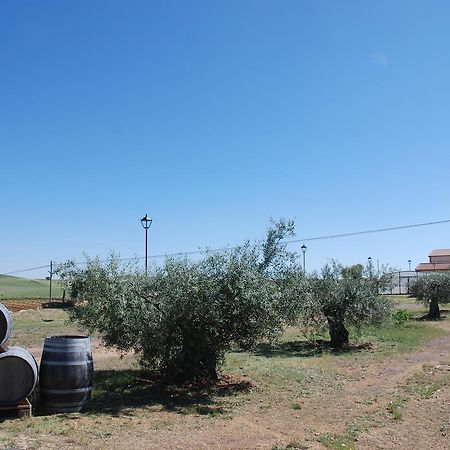 Casa Rural Teso De La Encina Villamor de los Escuderos Buitenkant foto