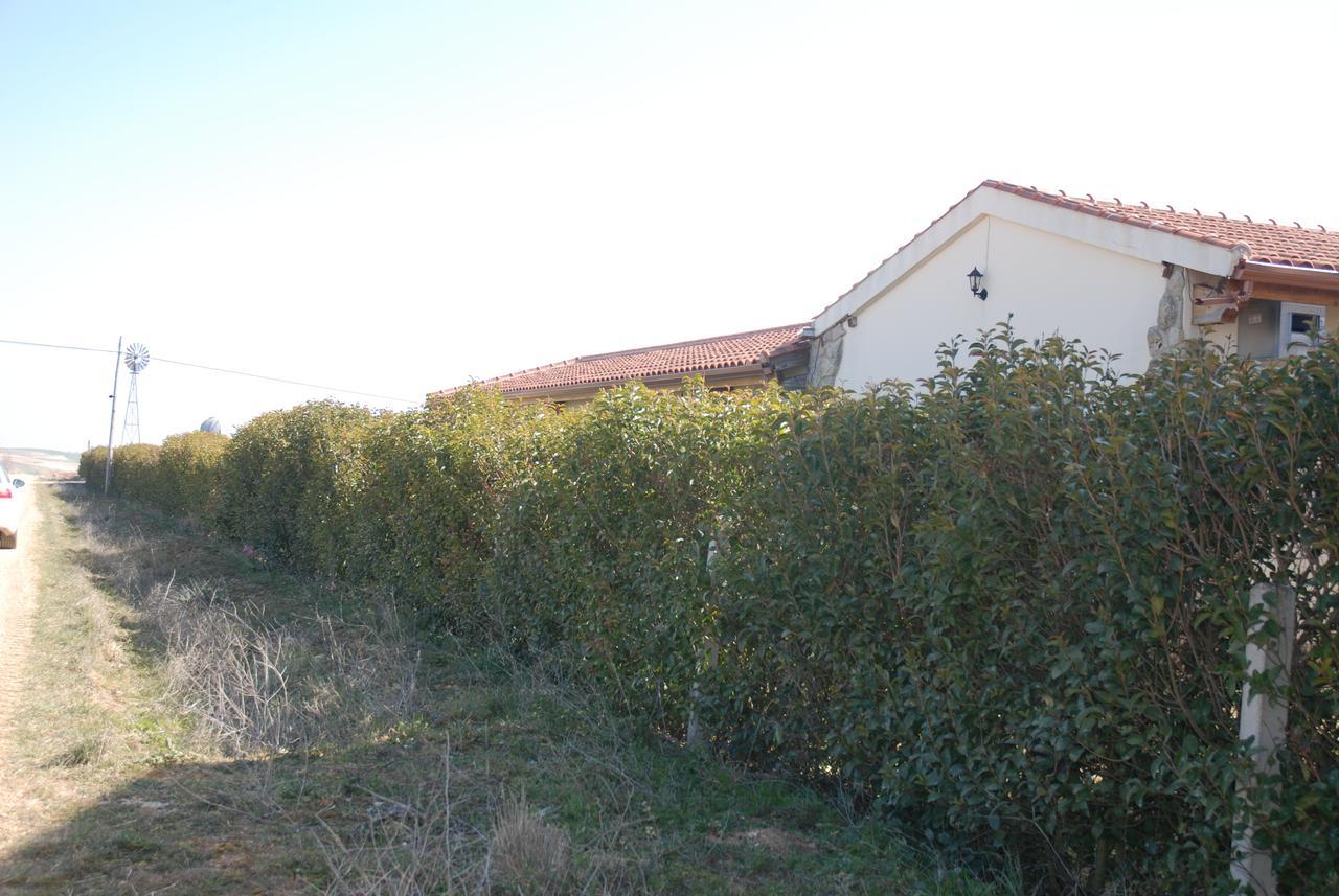 Casa Rural Teso De La Encina Villamor de los Escuderos Buitenkant foto