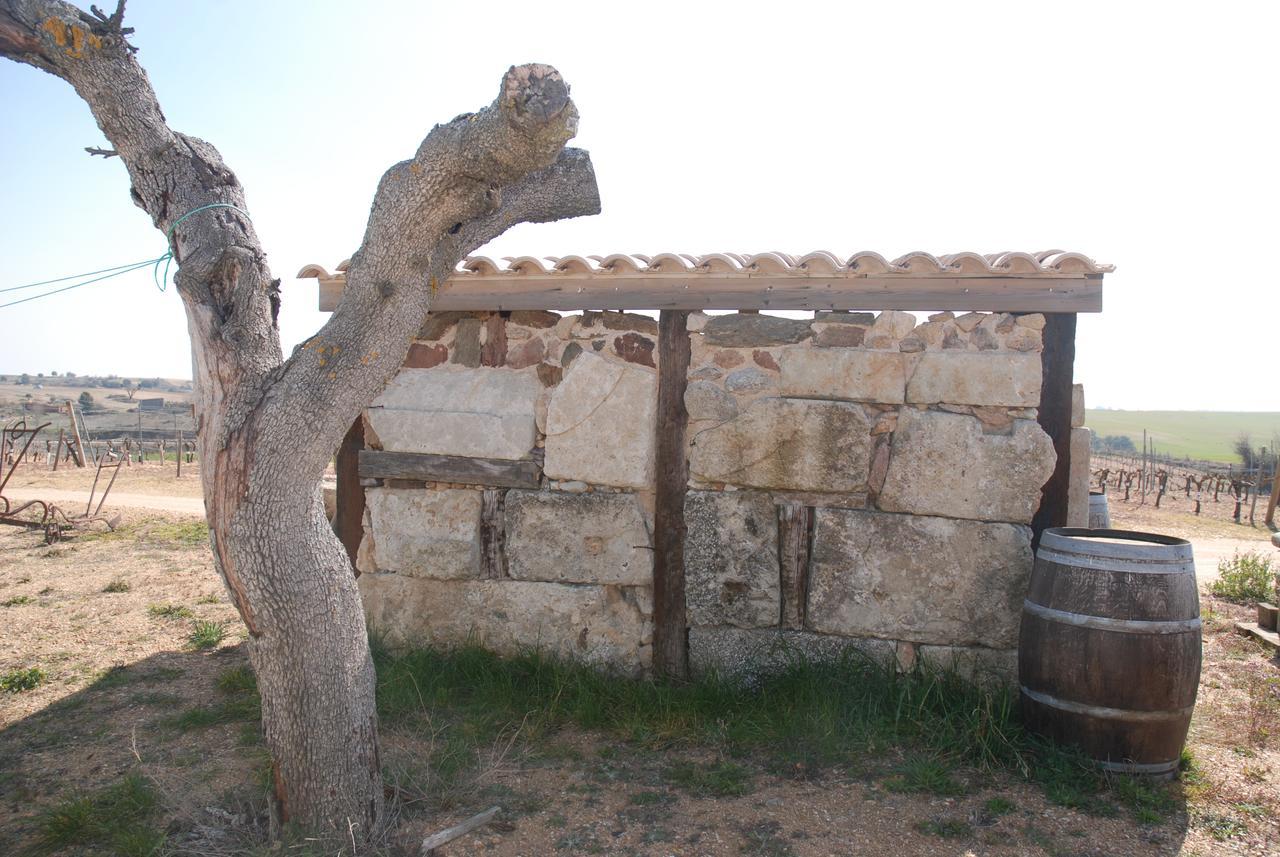 Casa Rural Teso De La Encina Villamor de los Escuderos Buitenkant foto